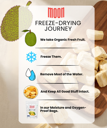 Infographic illustrating Themoonstoreindia's Moon Freeze Dried Jackfruit: made from 100% natural, organic fresh jackfruit, freeze-dried to lock in nutrients, and packed as a healthy snack in moisture-proof bags.
